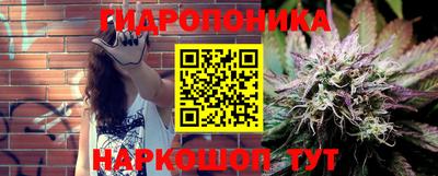 тгк Аргун