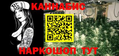 тгк Аргун