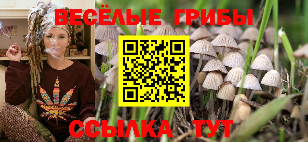 Псилоцибиновые грибы GOLDEN TEACHER Бузулук